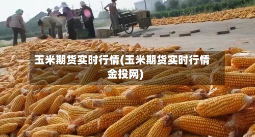 玉米期货实时行情(玉米期货实时行情金投网)-第2张图片