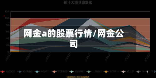 网金a的股票行情/网金公司