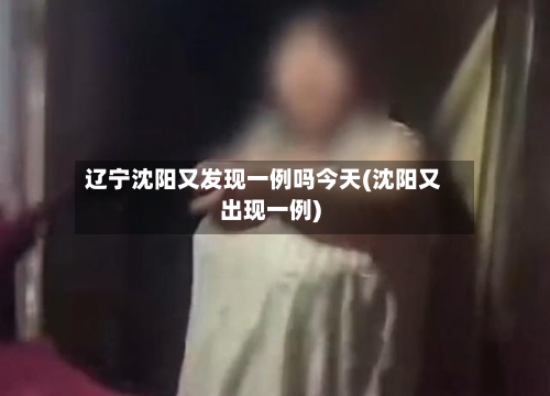 辽宁沈阳又发现一例吗今天(沈阳又出现一例)-第2张图片