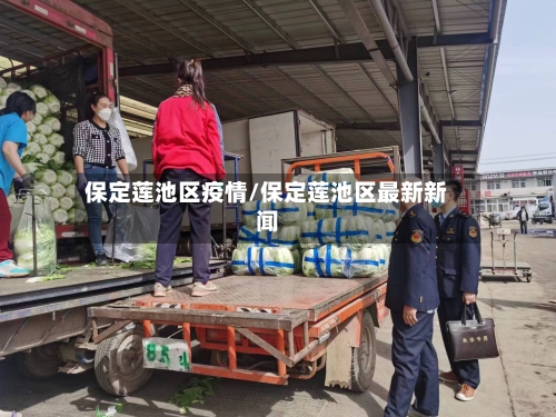 保定莲池区疫情/保定莲池区最新新闻-第2张图片