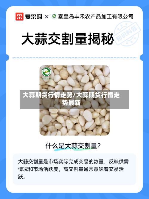 大蒜期货行情走势/大蒜期货行情走势最新