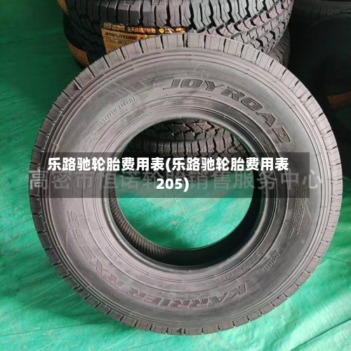 乐路驰轮胎费用表(乐路驰轮胎费用表205)-第2张图片