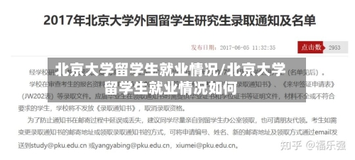 北京大学留学生就业情况/北京大学留学生就业情况如何-第3张图片