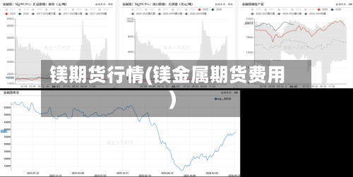 镁期货行情(镁金属期货费用)-第2张图片