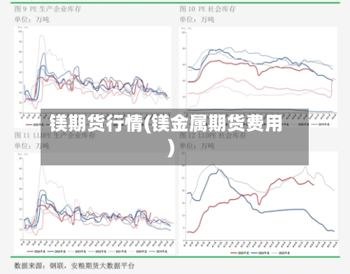 镁期货行情(镁金属期货费用)-第3张图片
