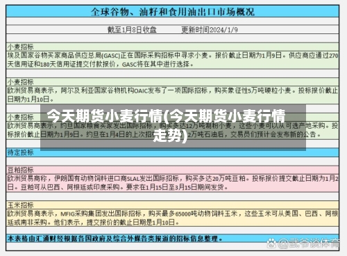 今天期货小麦行情(今天期货小麦行情走势)-第2张图片