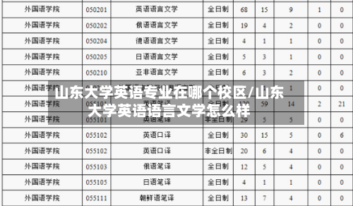 山东大学英语专业在哪个校区/山东大学英语语言文学怎么样-第2张图片