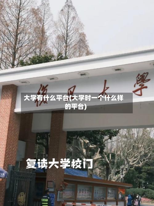 大学有什么平台(大学时一个什么样的平台)-第2张图片