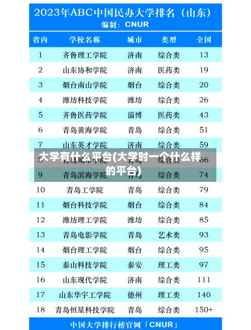大学有什么平台(大学时一个什么样的平台)