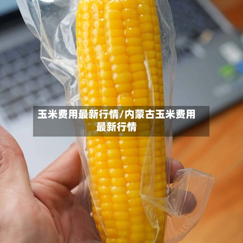 玉米费用最新行情/内蒙古玉米费用最新行情