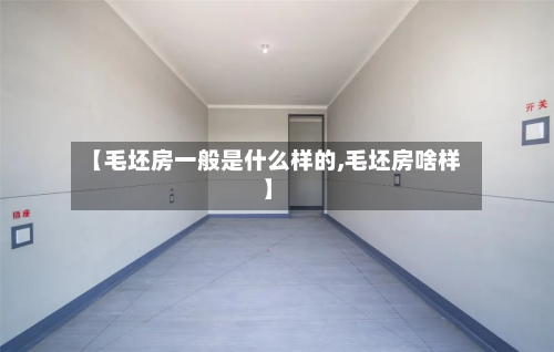 【毛坯房一般是什么样的,毛坯房啥样】-第2张图片