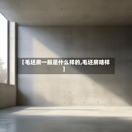 【毛坯房一般是什么样的,毛坯房啥样】-第3张图片