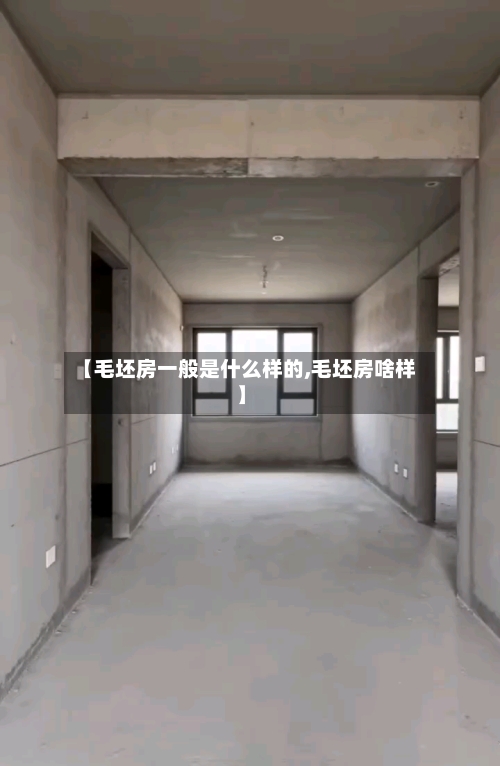 【毛坯房一般是什么样的,毛坯房啥样】