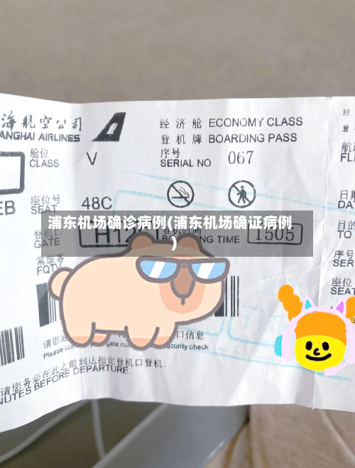 浦东机场确诊病例(浦东机场确证病例)