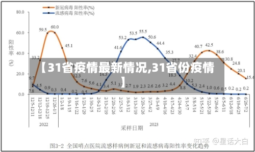【31省疫情最新情况,31省份疫情】