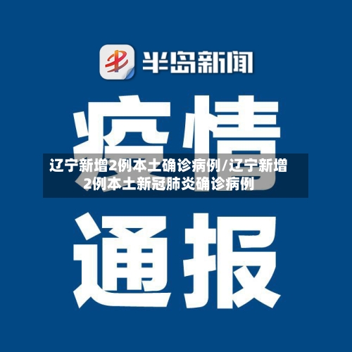 辽宁新增2例本土确诊病例/辽宁新增2例本土新冠肺炎确诊病例-第2张图片
