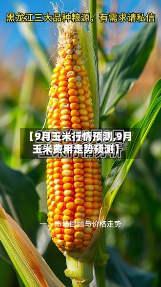 【9月玉米行情预测,9月玉米费用走势预测】-第3张图片