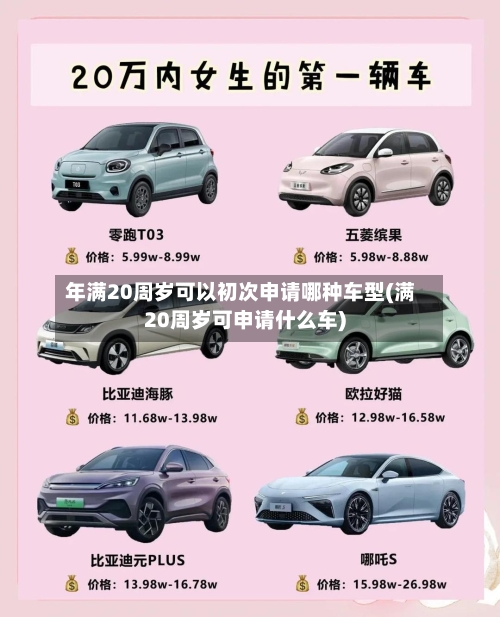 年满20周岁可以初次申请哪种车型(满20周岁可申请什么车)-第2张图片