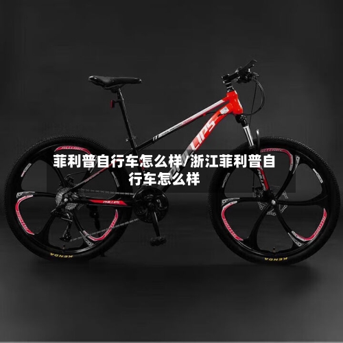菲利普自行车怎么样/浙江菲利普自行车怎么样