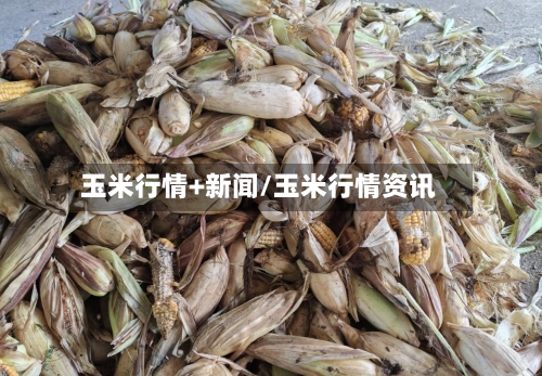 玉米行情+新闻/玉米行情资讯