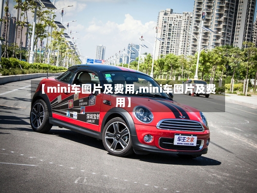 【mini车图片及费用,mini车图片及费用】-第2张图片