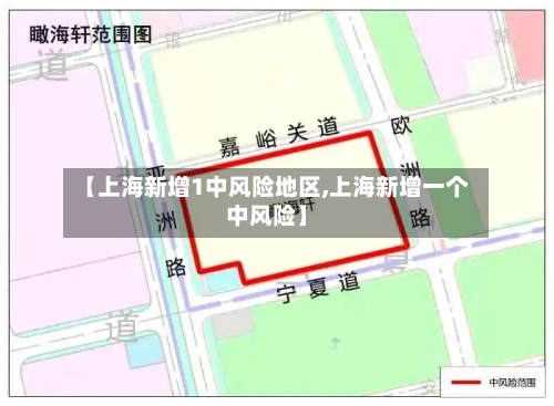 【上海新增1中风险地区,上海新增一个中风险】