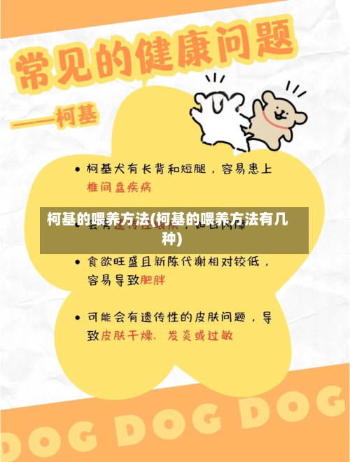 柯基的喂养方法(柯基的喂养方法有几种)