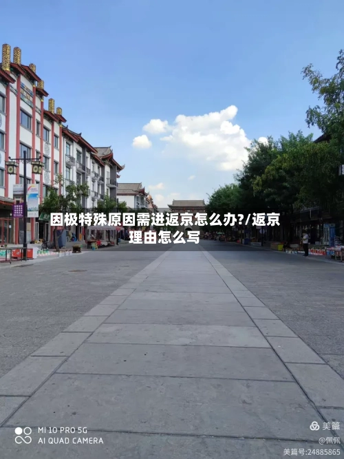 因极特殊原因需进返京怎么办?/返京理由怎么写