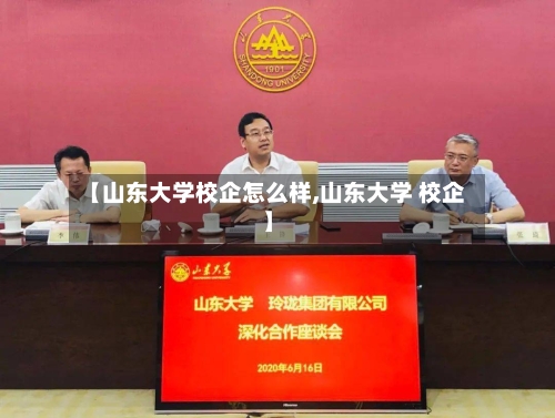 【山东大学校企怎么样,山东大学 校企】-第2张图片