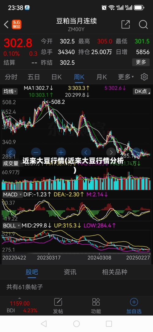 近来大豆行情(近来大豆行情分析)