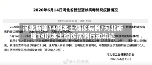 河北新增14例本土确诊病例/河北新增14例本土确诊病例行动轨迹-第2张图片