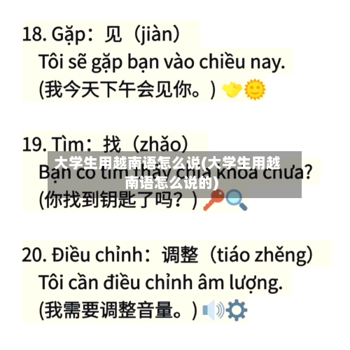 大学生用越南语怎么说(大学生用越南语怎么说的)-第2张图片