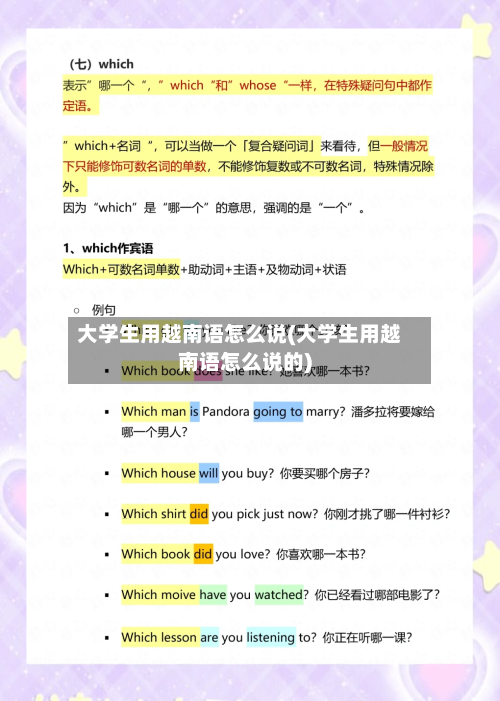 大学生用越南语怎么说(大学生用越南语怎么说的)