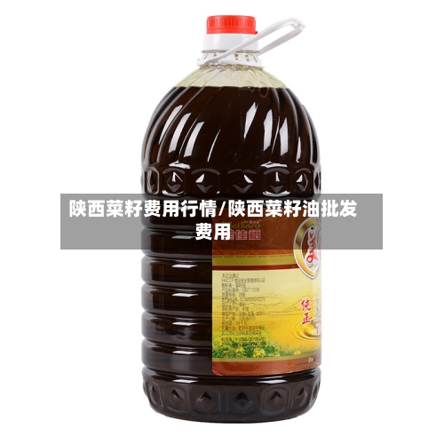 陕西菜籽费用行情/陕西菜籽油批发费用