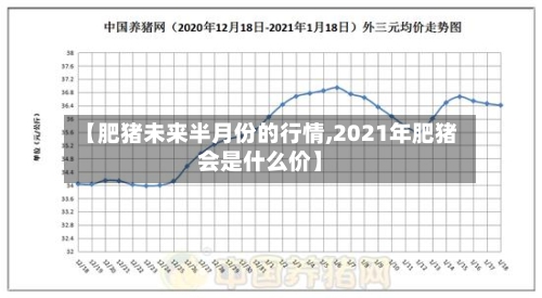 【肥猪未来半月份的行情,2021年肥猪会是什么价】-第3张图片
