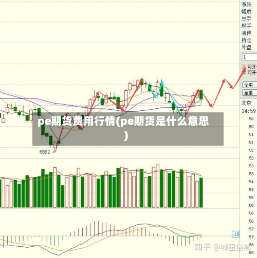 pe期货费用行情(pe期货是什么意思)-第3张图片