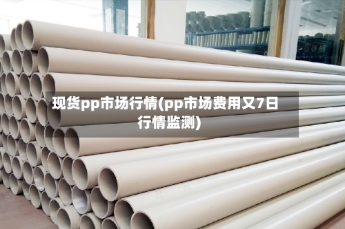 现货pp市场行情(pp市场费用又7日行情监测)-第2张图片