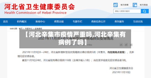 【河北辛集市疫情严重吗,河北辛集有病例了吗】-第2张图片