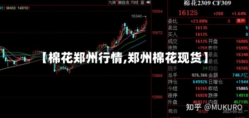【棉花郑州行情,郑州棉花现货】-第3张图片