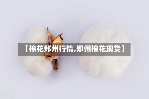【棉花郑州行情,郑州棉花现货】