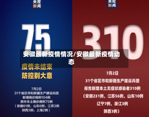安徽最新疫情情况/安徽最新疫情动态-第3张图片
