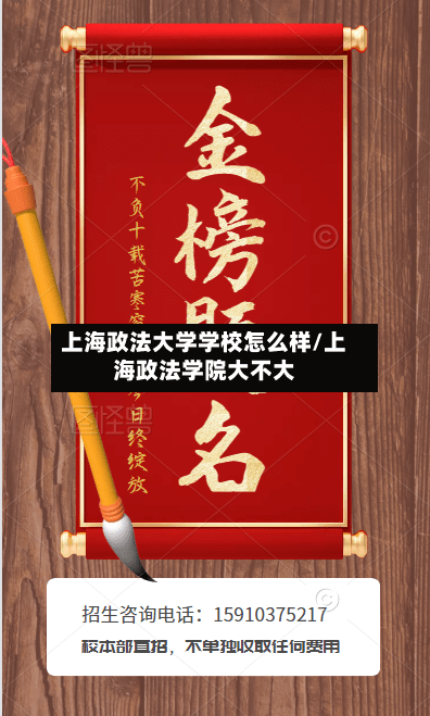 上海政法大学学校怎么样/上海政法学院大不大-第2张图片