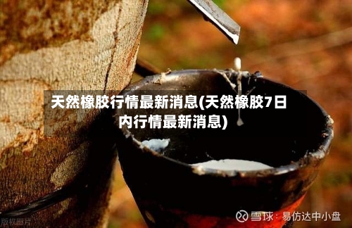 天然橡胶行情最新消息(天然橡胶7日内行情最新消息)