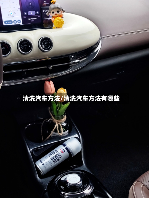 清洗汽车方法/清洗汽车方法有哪些-第2张图片