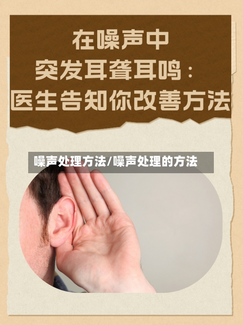 噪声处理方法/噪声处理的方法