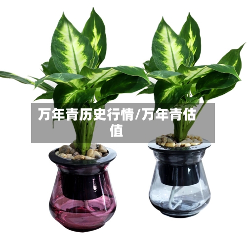 万年青历史行情/万年青估值