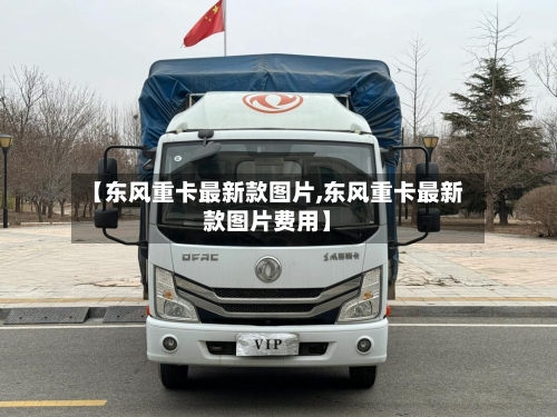 【东风重卡最新款图片,东风重卡最新款图片费用】-第3张图片