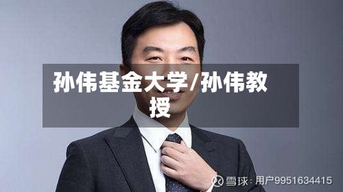 孙伟基金大学/孙伟教授