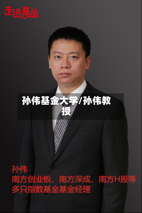 孙伟基金大学/孙伟教授-第2张图片