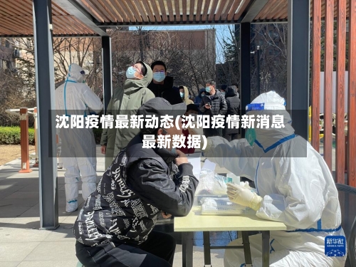沈阳疫情最新动态(沈阳疫情新消息最新数据)-第3张图片